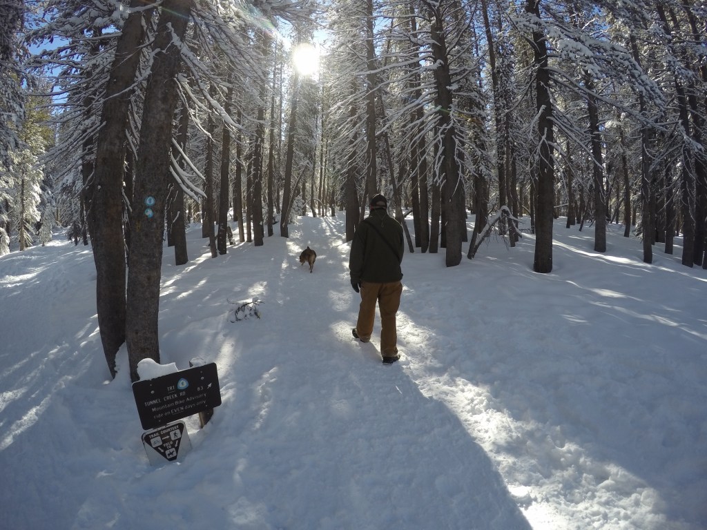 Hiking Chickadee Ridge, Lake Tahoe – Adventure Out There